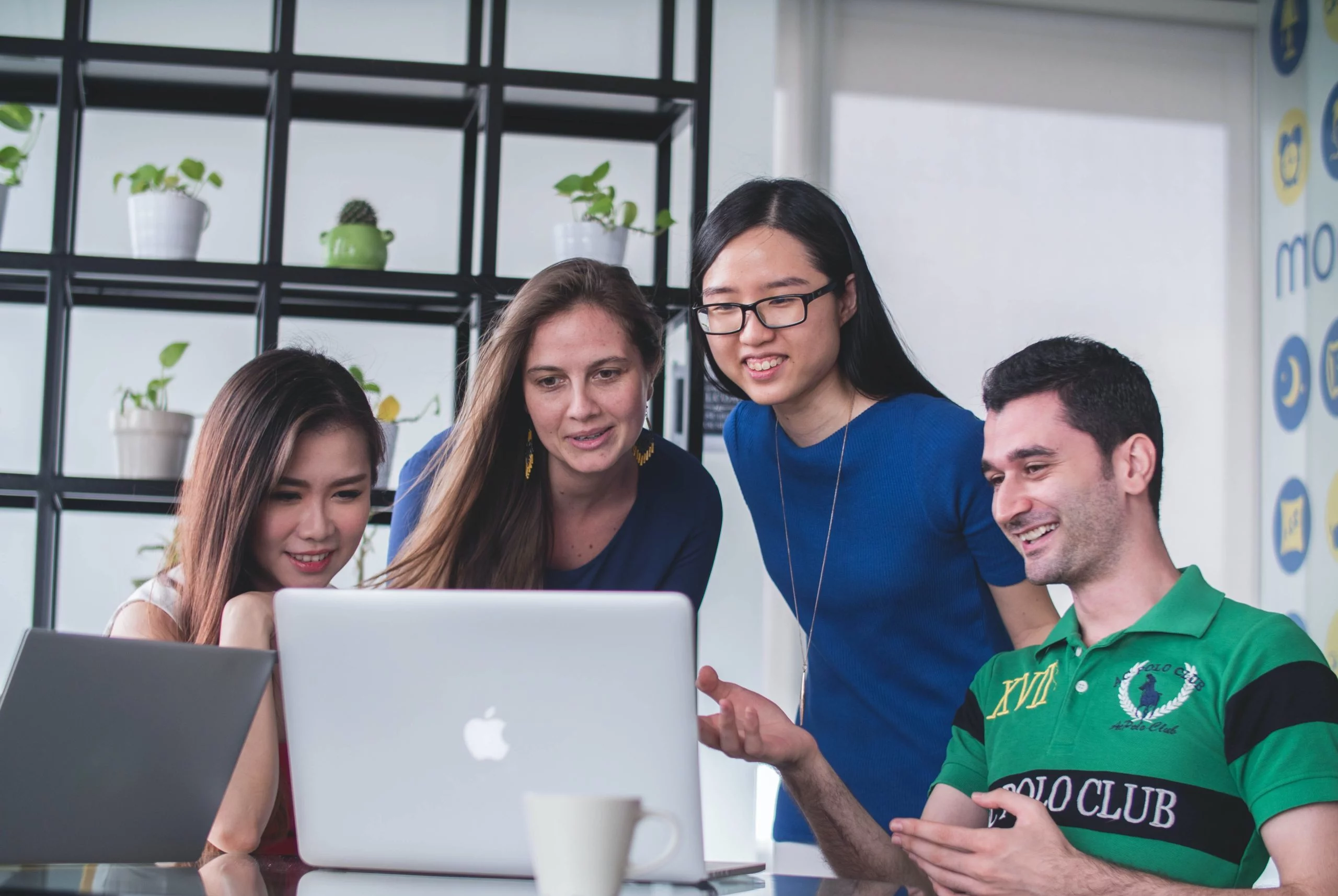 A group of people in an office are haro link building service on a laptop.